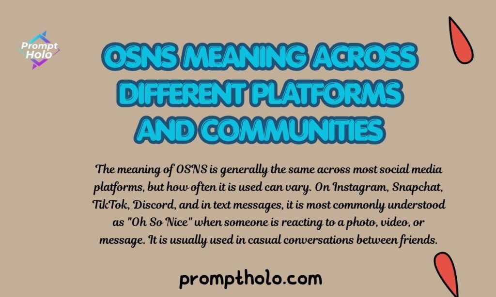OSNS Meaning Across Different Platforms and Communities